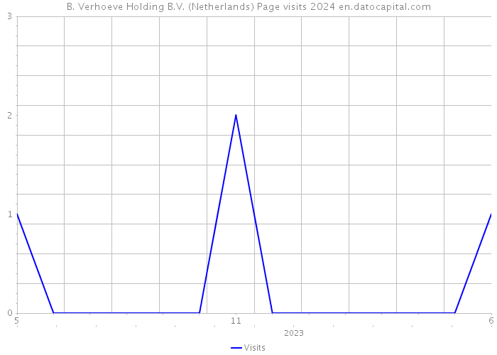 B. Verhoeve Holding B.V. (Netherlands) Page visits 2024 