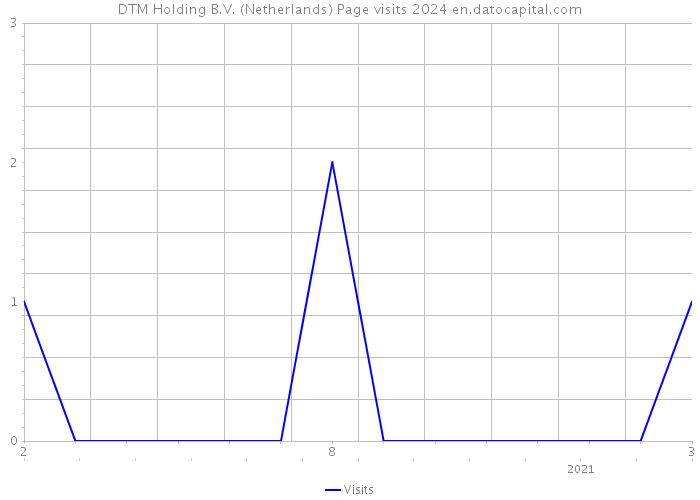 DTM Holding B.V. (Netherlands) Page visits 2024 