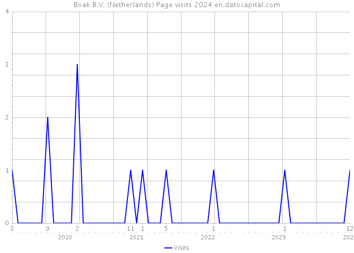 Boak B.V. (Netherlands) Page visits 2024 