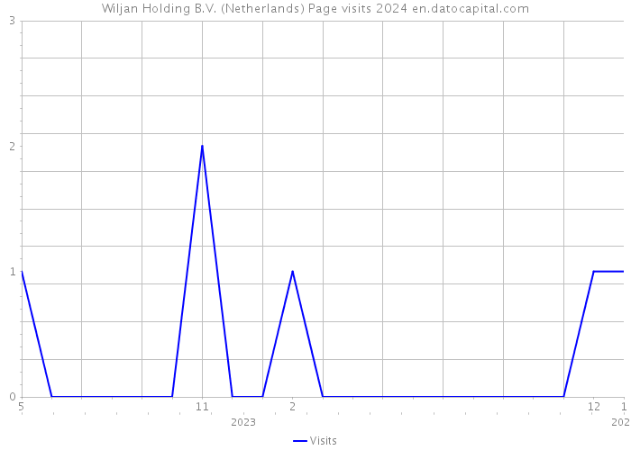 Wiljan Holding B.V. (Netherlands) Page visits 2024 
