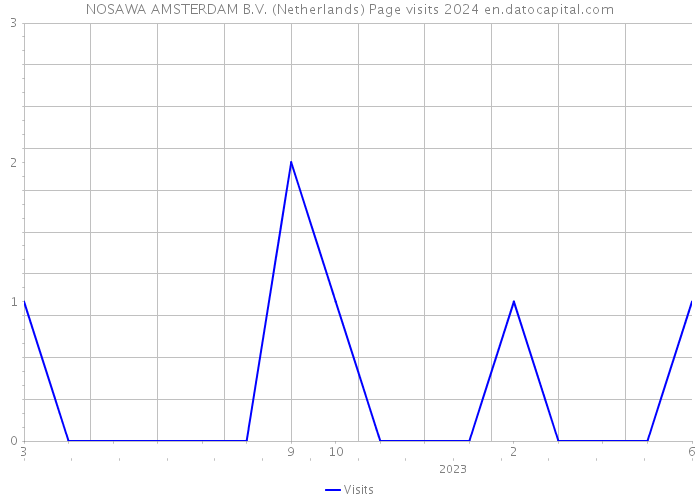 NOSAWA AMSTERDAM B.V. (Netherlands) Page visits 2024 