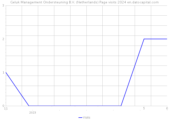 Geluk Management Ondersteuning B.V. (Netherlands) Page visits 2024 