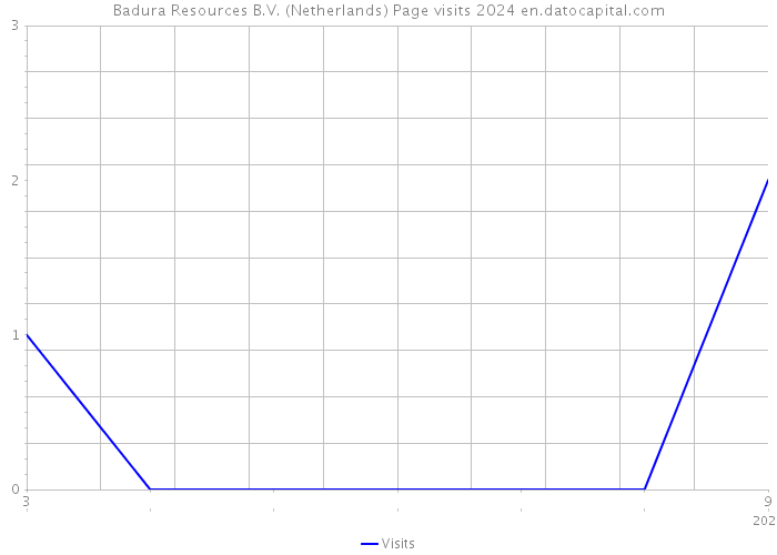 Badura Resources B.V. (Netherlands) Page visits 2024 