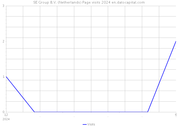 SE Group B.V. (Netherlands) Page visits 2024 