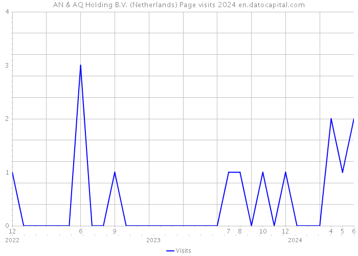 AN & AQ Holding B.V. (Netherlands) Page visits 2024 