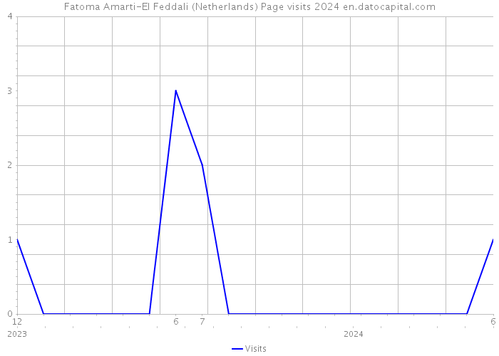 Fatoma Amarti-El Feddali (Netherlands) Page visits 2024 