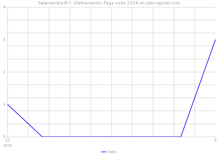 Salamandra B.V. (Netherlands) Page visits 2024 