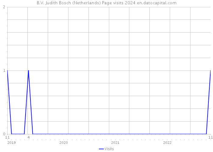 B.V. Judith Bosch (Netherlands) Page visits 2024 