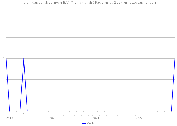 Tielen Kappersbedrijven B.V. (Netherlands) Page visits 2024 