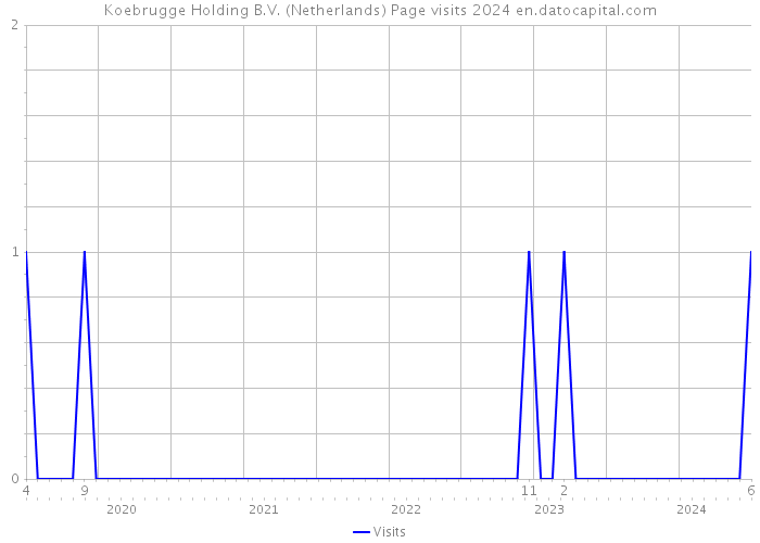 Koebrugge Holding B.V. (Netherlands) Page visits 2024 