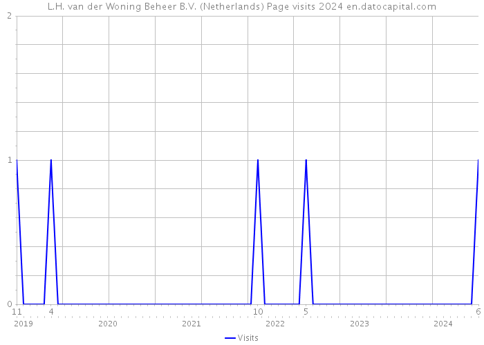 L.H. van der Woning Beheer B.V. (Netherlands) Page visits 2024 
