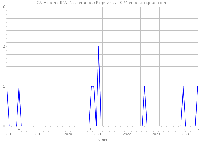 TCA Holding B.V. (Netherlands) Page visits 2024 
