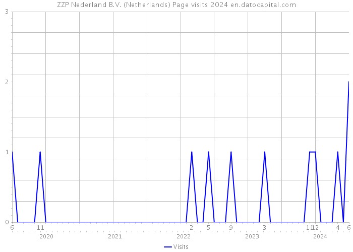 ZZP Nederland B.V. (Netherlands) Page visits 2024 