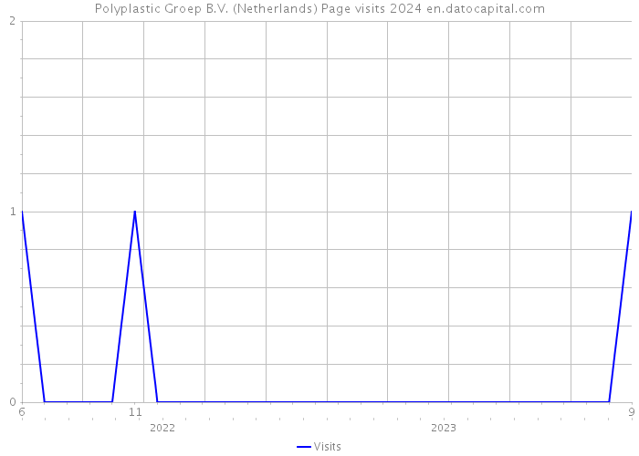 Polyplastic Groep B.V. (Netherlands) Page visits 2024 