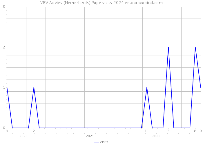 VRV Advies (Netherlands) Page visits 2024 