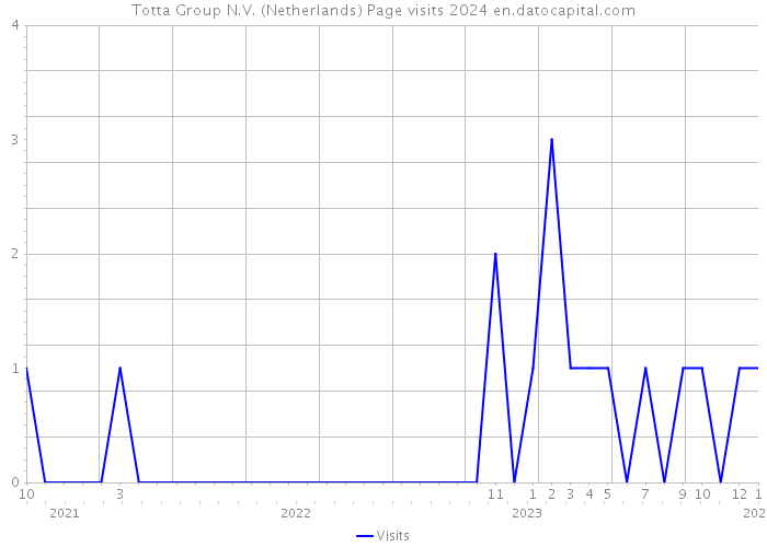 Totta Group N.V. (Netherlands) Page visits 2024 