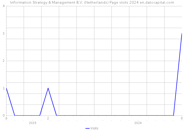 Information Strategy & Management B.V. (Netherlands) Page visits 2024 