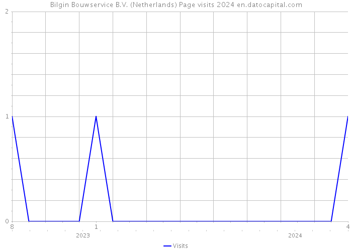 Bilgin Bouwservice B.V. (Netherlands) Page visits 2024 