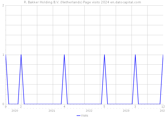 R. Bakker Holding B.V. (Netherlands) Page visits 2024 