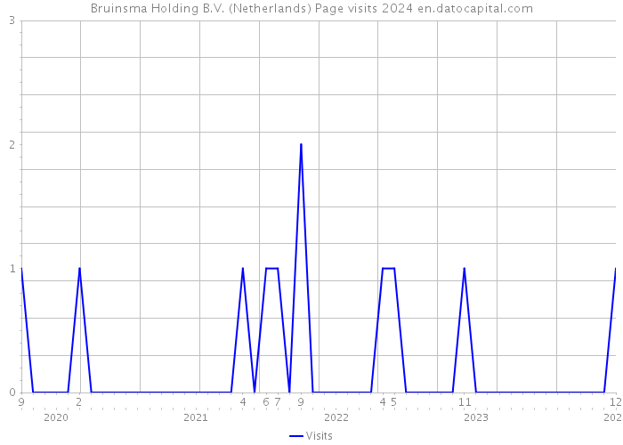 Bruinsma Holding B.V. (Netherlands) Page visits 2024 