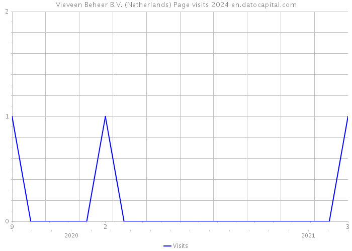 Vieveen Beheer B.V. (Netherlands) Page visits 2024 