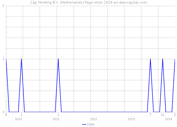 Cap Holding B.V. (Netherlands) Page visits 2024 