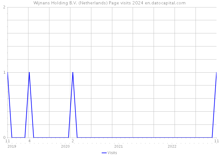 Wijnans Holding B.V. (Netherlands) Page visits 2024 