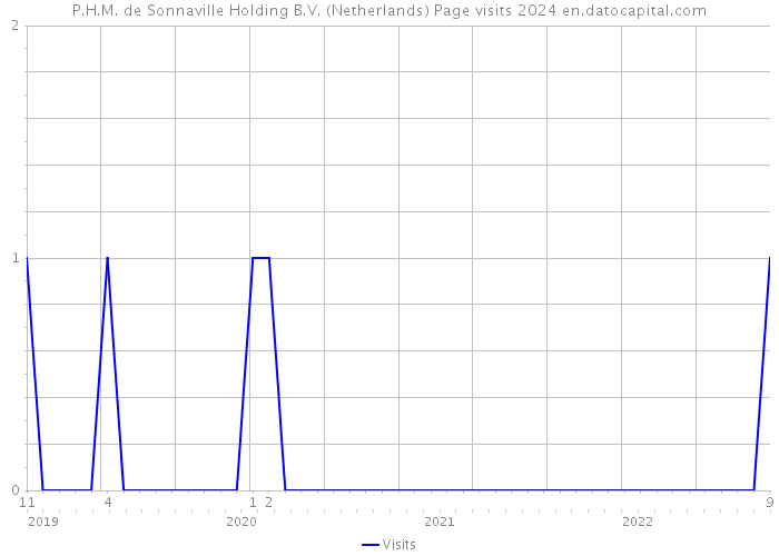 P.H.M. de Sonnaville Holding B.V. (Netherlands) Page visits 2024 