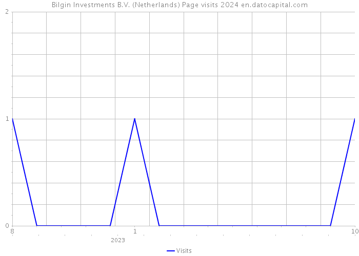 Bilgin Investments B.V. (Netherlands) Page visits 2024 