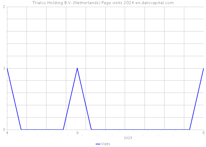 Trialco Holding B.V. (Netherlands) Page visits 2024 