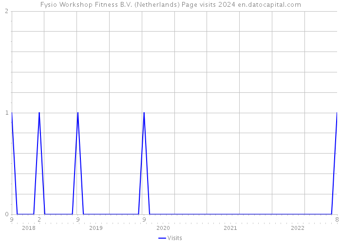Fysio Workshop Fitness B.V. (Netherlands) Page visits 2024 