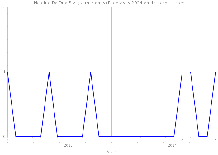 Holding De Drie B.V. (Netherlands) Page visits 2024 