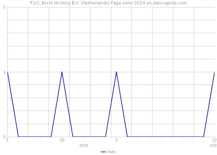 P.J.C. Borst Holding B.V. (Netherlands) Page visits 2024 