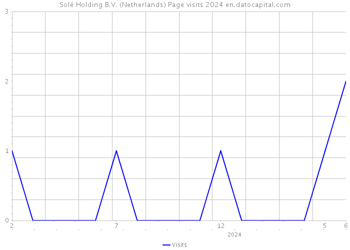 Solé Holding B.V. (Netherlands) Page visits 2024 