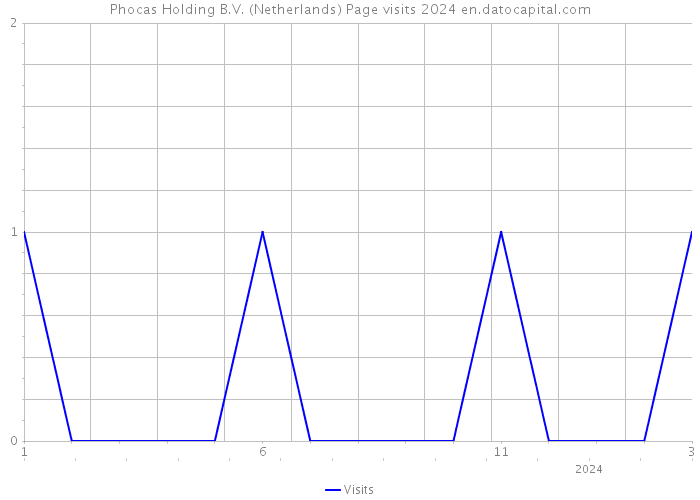 Phocas Holding B.V. (Netherlands) Page visits 2024 