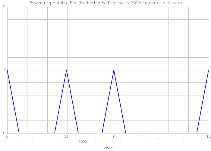 Essenburg Holding B.V. (Netherlands) Page visits 2024 