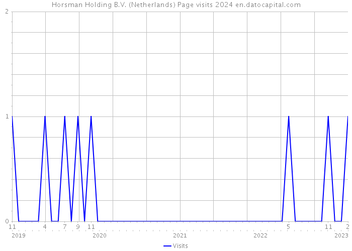 Horsman Holding B.V. (Netherlands) Page visits 2024 