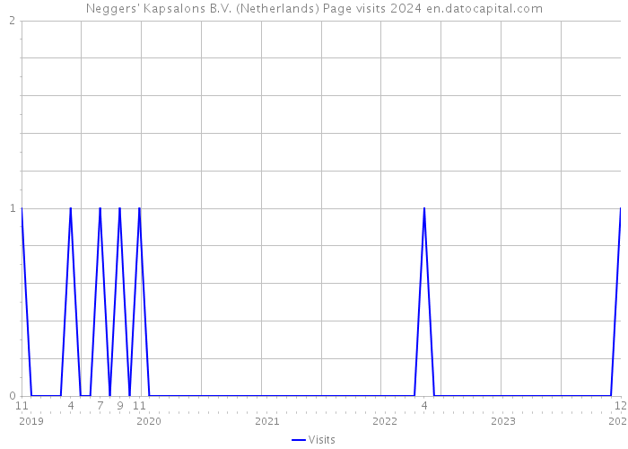 Neggers' Kapsalons B.V. (Netherlands) Page visits 2024 