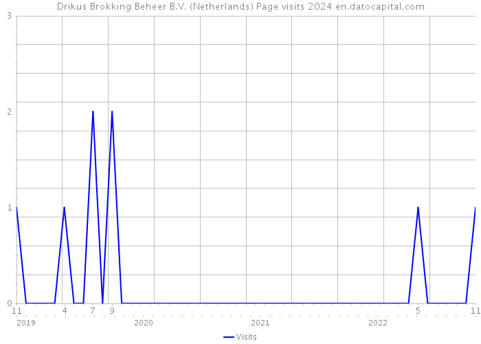 Drikus Brokking Beheer B.V. (Netherlands) Page visits 2024 