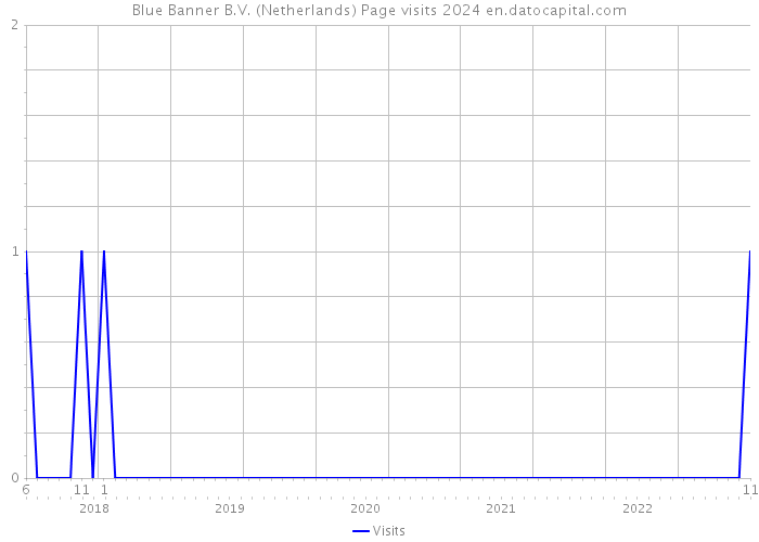 Blue Banner B.V. (Netherlands) Page visits 2024 