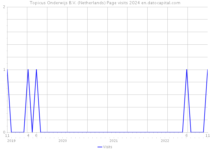 Topicus Onderwijs B.V. (Netherlands) Page visits 2024 