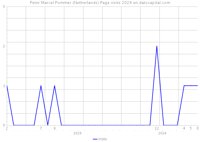 Peter Marcel Pommer (Netherlands) Page visits 2024 