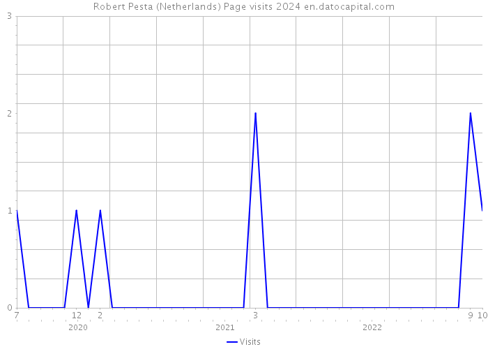 Robert Pesta (Netherlands) Page visits 2024 