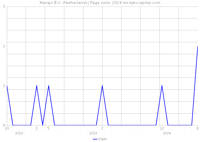 Marajo B.V. (Netherlands) Page visits 2024 