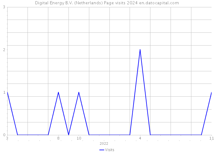Digital Energy B.V. (Netherlands) Page visits 2024 