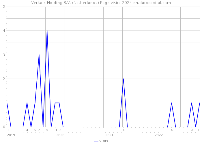 Verkaik Holding B.V. (Netherlands) Page visits 2024 