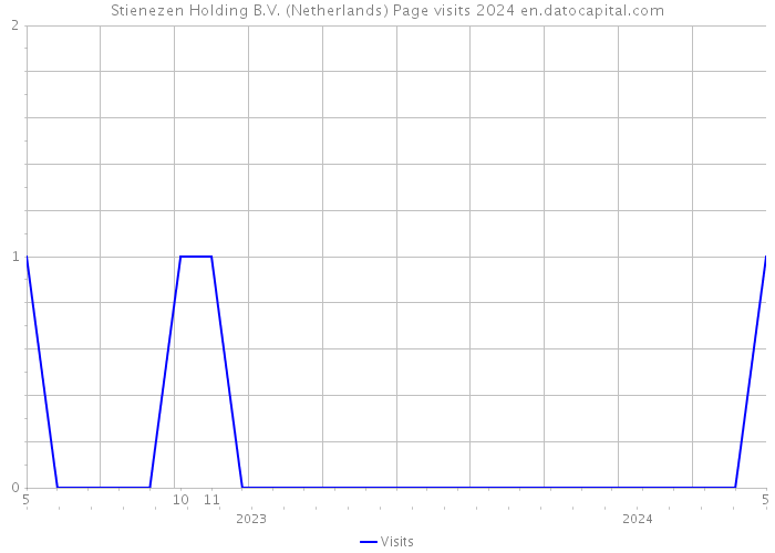Stienezen Holding B.V. (Netherlands) Page visits 2024 