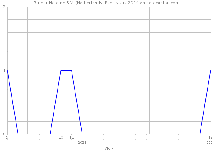 Rutger Holding B.V. (Netherlands) Page visits 2024 