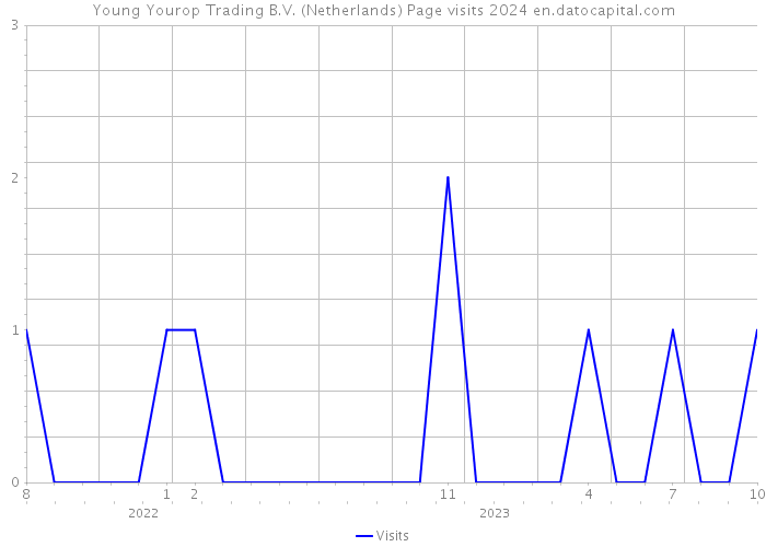 Young Yourop Trading B.V. (Netherlands) Page visits 2024 