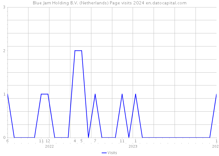 Blue Jam Holding B.V. (Netherlands) Page visits 2024 